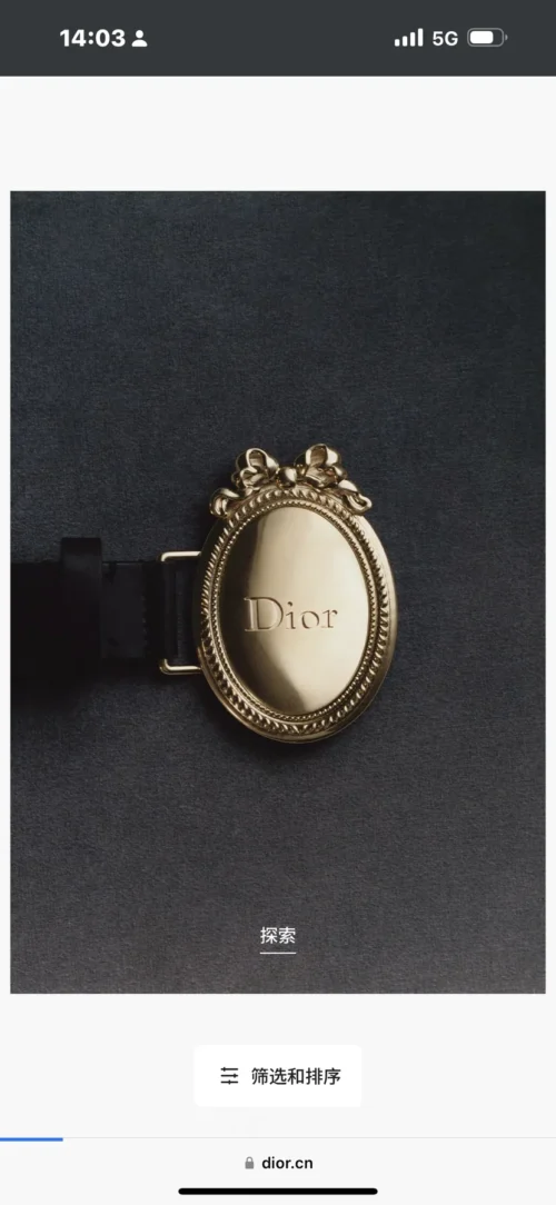 Dior Belt
