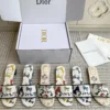 Dior Slides