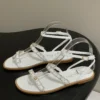 Dior Suede Lace-Up Sandals