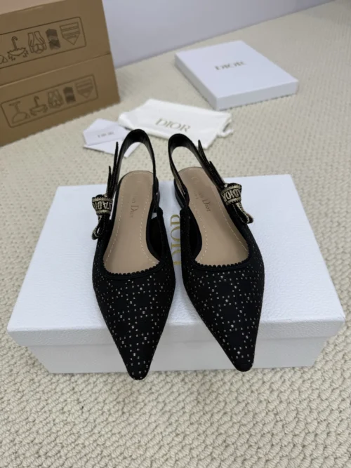Dior Lambskin Shoes