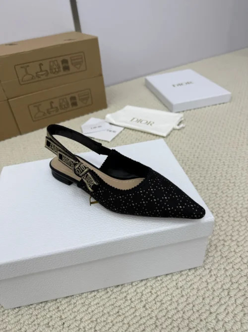 Dior Lambskin Shoes