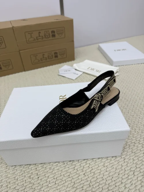 Dior Lambskin Shoes