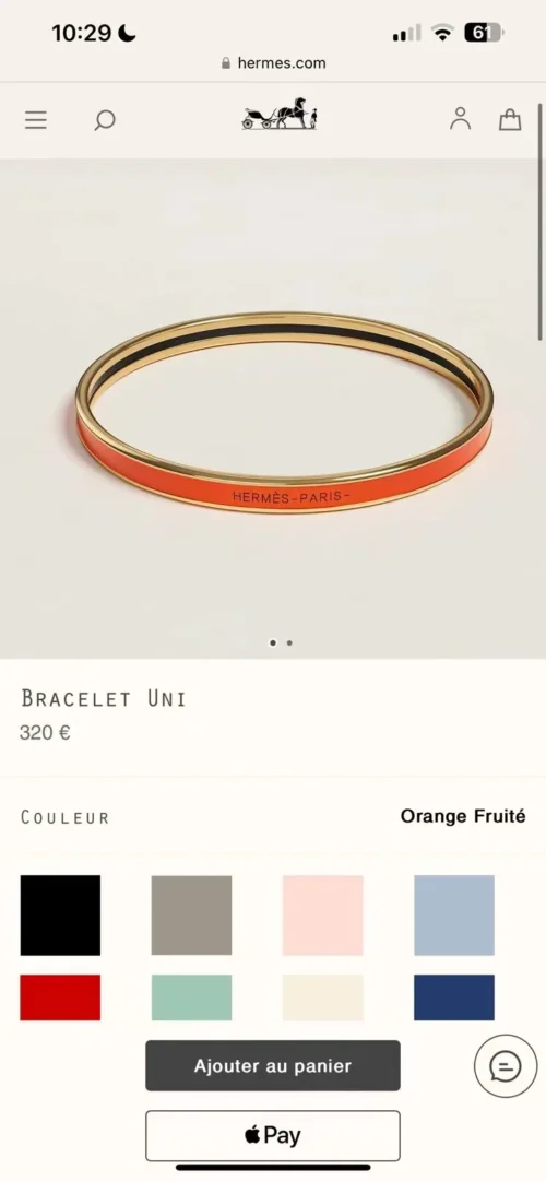 Hermes Enamel Bangle Bracelet