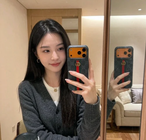 Gucci Phone Case with Classic Red and Green Web Stripe - Ref. PCGUCCI0019